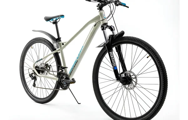 Mercurio Kaizer Mtb R29 21v