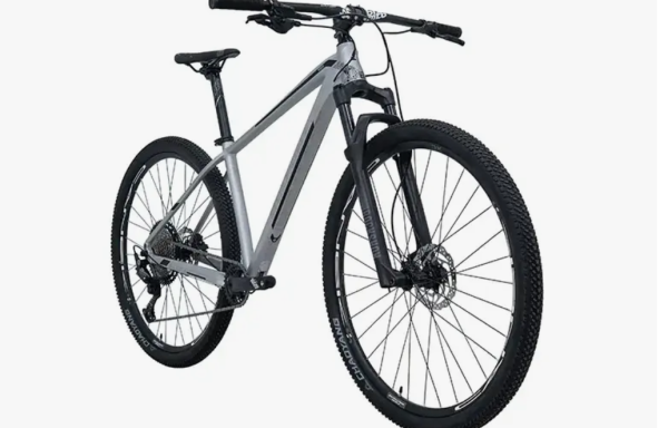 BICICLETA ALOM COMP B2